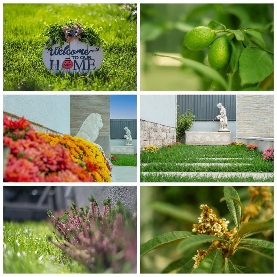 Homestay Gold Coast Photography Estoril